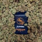 Susz Konopny Orange Haze 5g 7% CBD Vonzzy