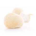 MycoMedica HERICIUM Soplówka Jeżowata Lion's Mane 90 k