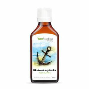 YaoMedica Zakotwiczona Myśl 50ml Nalewka Zmęczenie
