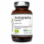 Kenay ANDROGRAPHIS Paniculata Kapsułki BIO ParActin 60k