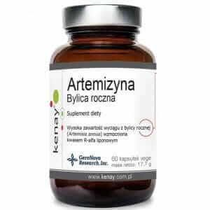 Kenay ARTEMIZYNA Bylica Roczna Ekstrakt 60k