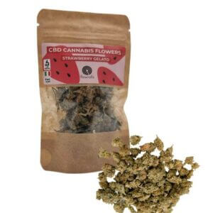 Susz Konopny CBD Strawberry Gelato