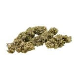 Susz Konopny CBG Silver Haze