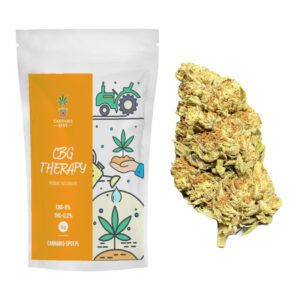 Susz Konopny CBG Therapy <8% 1g Cannabis Spot