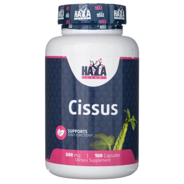 Haya Labs Cissus 500 mg - 100 kapsułek | Naturalne FilarZdrowia